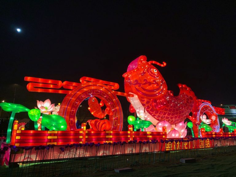 玉壺光轉，一夜魚龍舞