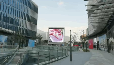 上海國(guó)際電影節(jié)