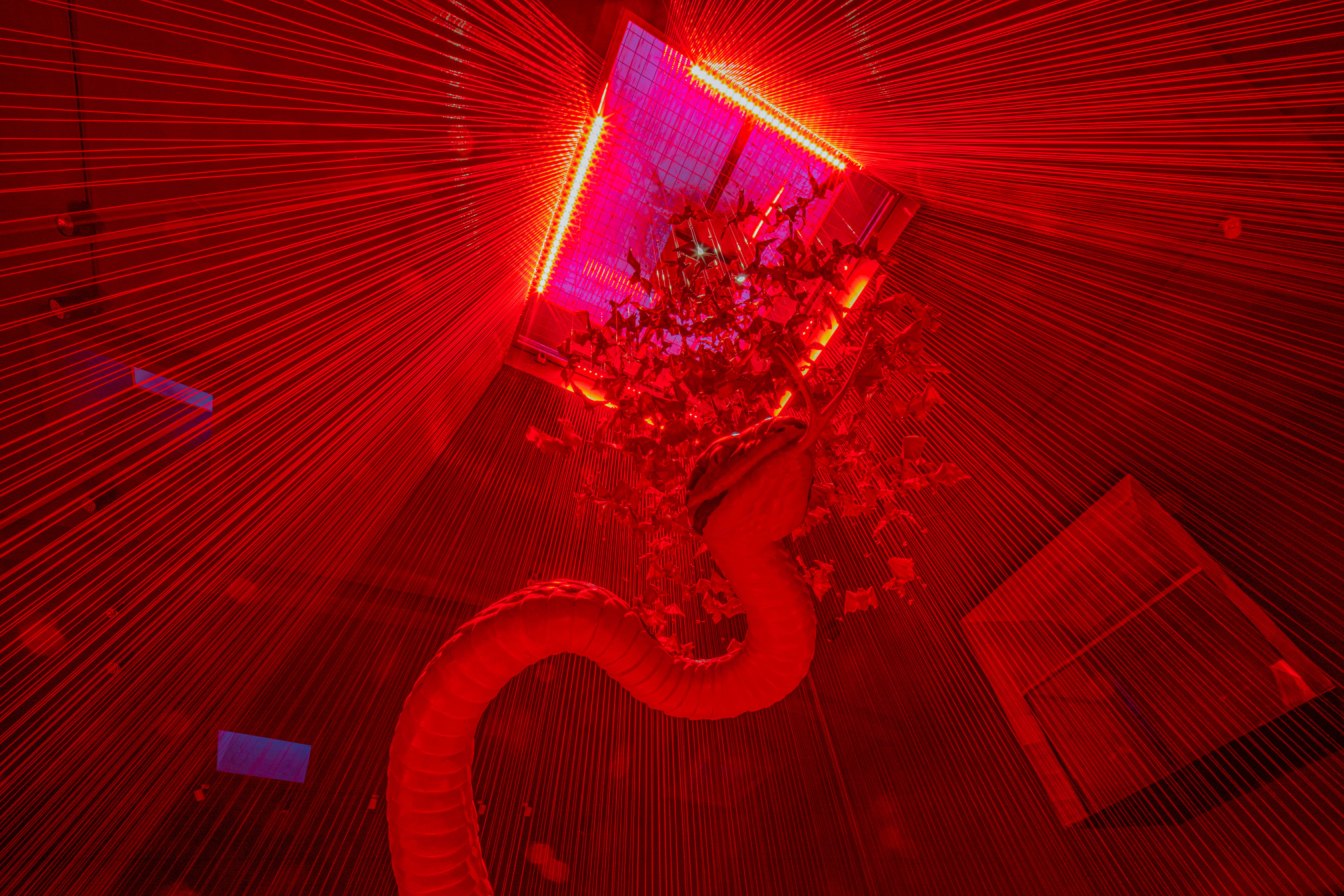 亮化工程-渡渡美術(shù)館藝術(shù)燈光設(shè)計(jì) (3)