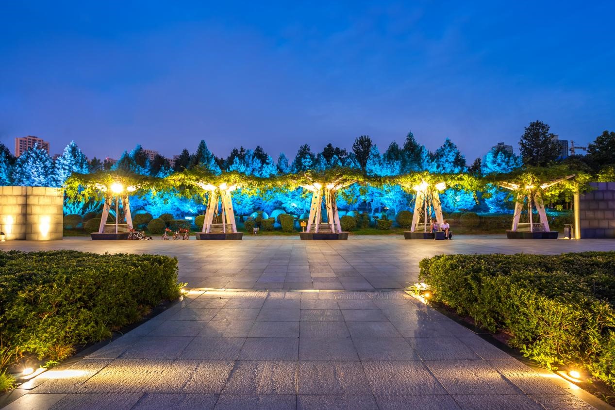 樹木亮化工程-2